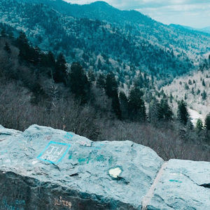 Meet your Posher, Avery